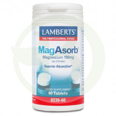 MagAbsorb 60 Compresse Lamberts