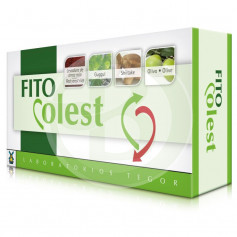 Fito Colest 60 Capsule Tegor