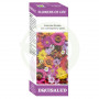 Flowers of Life Culpa 15Ml. Equisalud