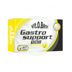 Gastro Support 60 Capsule Vit O Best