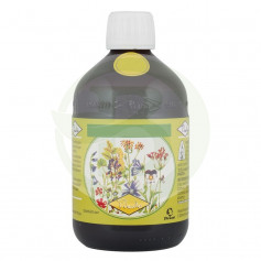 B. St-Joseph I/S 510Gr. Pianto