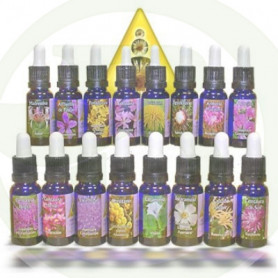 Castagno Dolce 15Ml. Esencias Triunidad