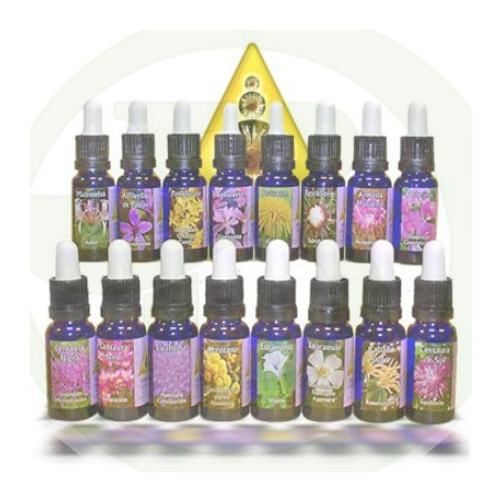 Castagno Dolce 15Ml. Esencias Triunidad