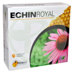 Echin Royal 20 Fiale Cfn