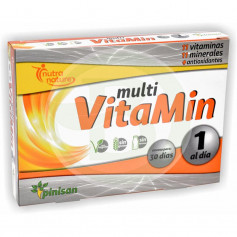 Multi Vitamin 30 Capsule Pinisan