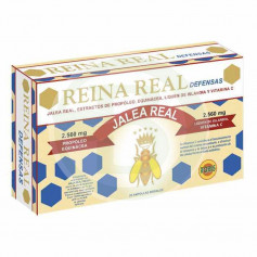 Reina Real Defensas 20 Fiale Robis