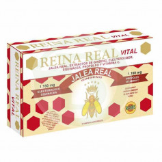 Reina Real Vital 20 Fiale Robis