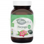 Harpago BIO 90 Cápsulas El Granero