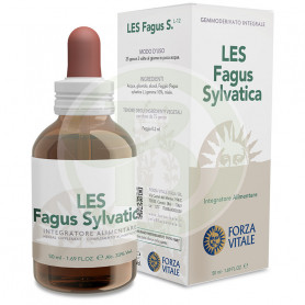 Les Fagus Sylvatica (Faggio) 50Ml. Forza Vitale