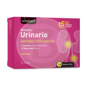 Vitalart Benessere Urinario 10 Bustine Vitalart