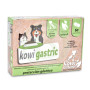 Kowi gastrico, 60 compresse Kowi Nature