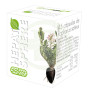 Epatosfera 45 capsule Ergonat