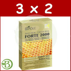 Pack 3x2 Jelly Forte 2000 20 Fiale Intersa