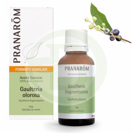 Olorosa Wintergreen Olio Essenziale Bio 30Ml Pranarom