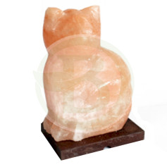 Cat Lamp Asfand Sali