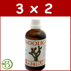 Confezione 3x2 Endoligo 100Ml. impianti