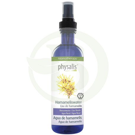 Physalis dell&#39;amamelide