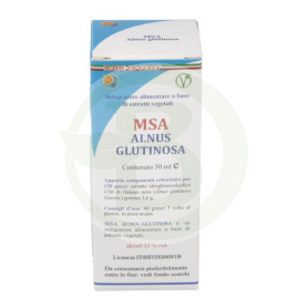 Germogli di Msa Alnus Glutinosa (ontano nero) Pianeta erboso