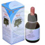 Msa Cedrus Libani Giovani germogli (Herboplanet Cedar