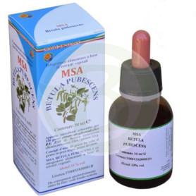Msa Betula Pubescens Germogli 50 Ml Herboplanet