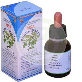 Msa Rubus Idaeus giovani germogli (lampone) Pianeta erboso