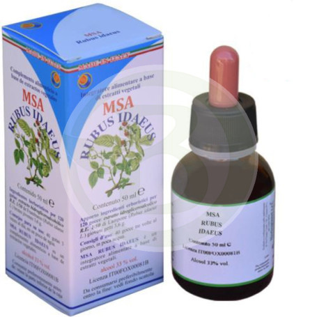 Msa Rubus Idaeus giovani germogli (lampone) Pianeta erboso