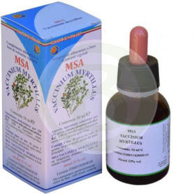 Msa Vaccinium Myrtillus Giovani Germogli Pianeta Erboso