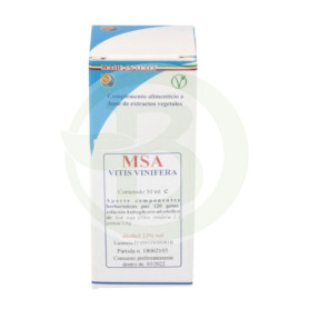 Germogli di Msa Vitis Vinifera (Vite rossa) Pianeta erboso