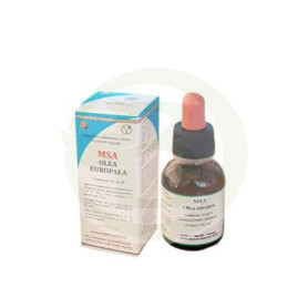 Msa Olea Europaea Giovani Germogli (Olivo) Erbopianeta