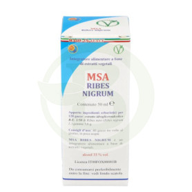 Germogli di Msa Ribes Nigrum (ribes nero) Pianeta erboso