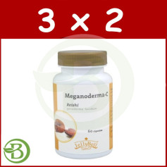 Confezione 3x2 Meganoderma C (Reishi) Jellybell