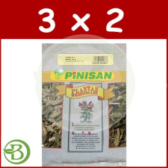 Confezione 3x2 Bustine di Tè Verde 50Gr. Pinisano