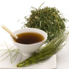 Equiseto 100 Gr. Rosana (Diplan)