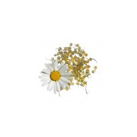 Camomilla Dolce 100Gr. Rosana (Diplan)