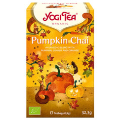 Yogi Tea Zucca Chai 17 Filtri