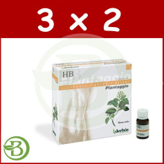 Confezione 3x2 Plantaggio HB 20 Fiale Derbos