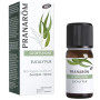 Diffusione Eucaly Pur Bio 30Ml Pranarom
