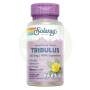 Tribulus 450Mg. 60 Capsule Solaray