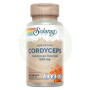 Cordyceps Fermented 500Mg. 60 Capsule Solaray