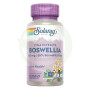 Boswellia 300Mg. 60 Capsule Solaray