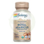 Royal agaricus 500Mg. 60 Cápsulas Solaray