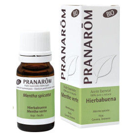 Olio essenziale di menta piperita biologica 10 ml Pranarom