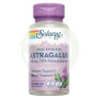 Astrágalus Root Extract 200Mg. 30 Capsule Solaray