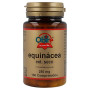 Echinacea 250Mg Ext Obire secco