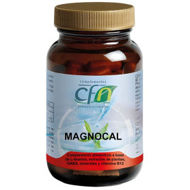 Magnocal 60 Capsule Cfr