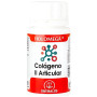 Holomega Collagen Ii Articolare 50 Capsule Equisalud