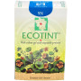 Ecotint Biondo Miele 9N Noefar