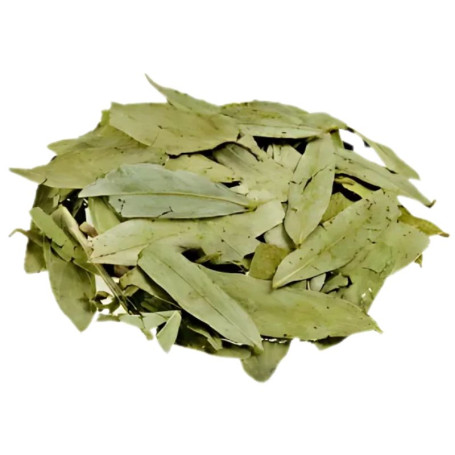 Sen Foglie 1Kg Pinisan
