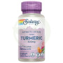 Super Tumeric 30 Capsule Solaray