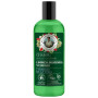 Shampoo detergente profondo naturale Green Agafia 260 ml Agafja